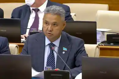 Депутат Перуашев призвал пересмотреть работу мониторинговых групп, проверяющих объекты бизнеса