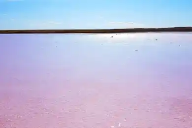 Доездились: акимат запретил поездки на знаменитое "розовое" озеро