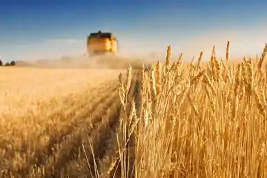 В Астане открывается первый Форум работников сельского хозяйства