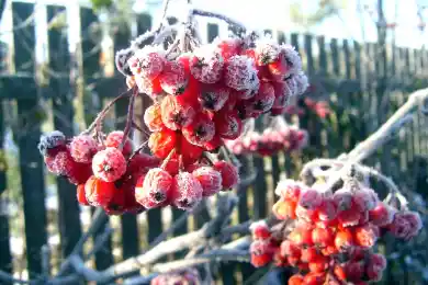 Зимний шторм: большую часть Казахстана ждут морозы и осадки