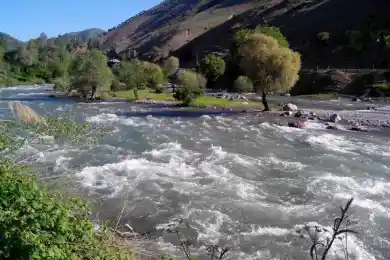 Тела пропавших туристов нашли в горах Туркестанской области