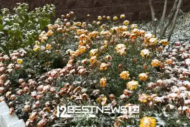 Заморозки сохранятся в Астане