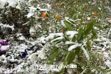 Погода по Казахстану на 14 октября