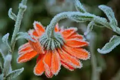 Местами – заморозки: погода по Казахстану на 18 августа