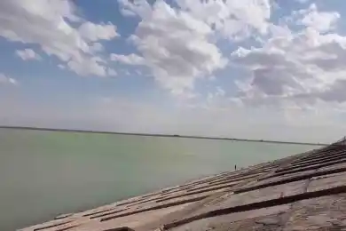 В Казахстане сократят посевы из-за дефицита влагозапасов