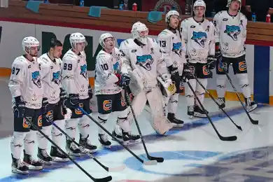 Прямая трансляция матча Сочи-Барыс в чемпионате КХЛ