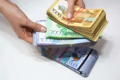 В Казахстане с нарушениями списали банкротам долги на 3,5 трлн тенге - ВАП