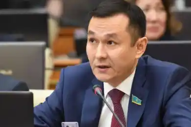 Депутаты НПК предложили Правительству принять госпрограмму для поддержки ИЖС