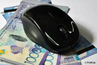 Мамину рассказали, как Интернет-мошенники похищают деньги казахстанцев