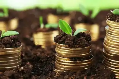 В Павлодарской области бизнесу выставили незаконный земельный налог