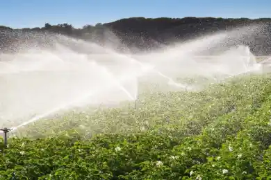 В каких областях Казахстана возможен дефицит поливной воды