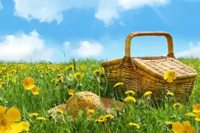 Сколько выходней дней будет в мае в Казахстане 