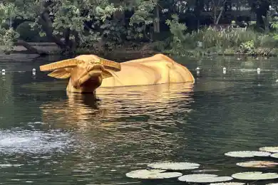 В чем тайна и романтика легендарного озера Сиху в Чанжоу