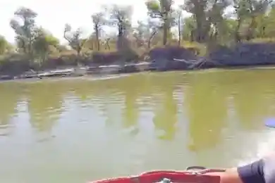 Спасатели нашли тела всех утонувших в Туркестанской области