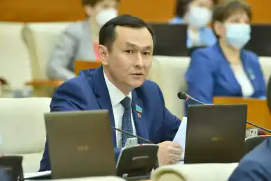 «Модель ущербна»: депутаты «НПК» указали на недостатки бюджета и экономических прогнозов