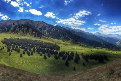 Токаев: Запрещаю заниматься проектом "Кок-Жайлау"