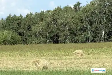 Жителей Астаны снова ждет сильная жара