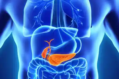 Ученые создали искусственную поджелудочную железу