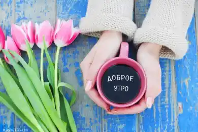 Желаем удачной недели и бодрого настроения!