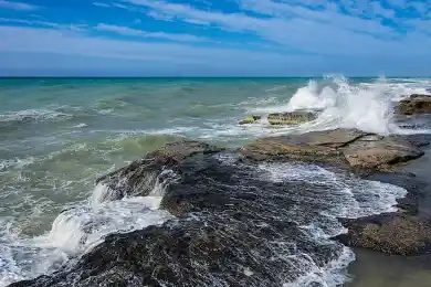 В Казахстане потратят 1,1 млрд на сохранение Каспийского моря