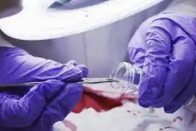 По «делу Бишимбаева» проведено 11 экспертиз – министр юстиции Казахстана