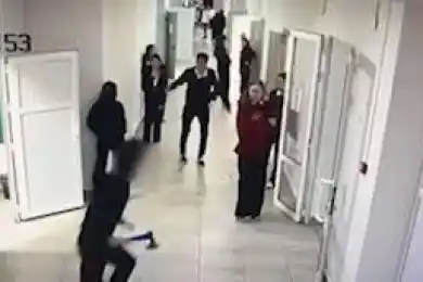 Школьник бегал с топором: мажилисмен Смирнова не согласна с post-мерами