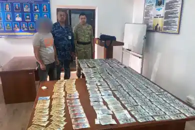 За полгода через аэропорт Алматы пытались провезти наличными полмиллиарда тенге
