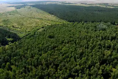 Елбасы предложил придать «зеленому поясу» столицы статус нацпарка 