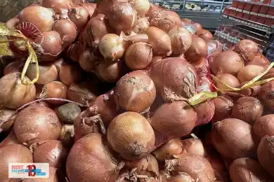 «В Казахстане спекулянты выкупают удешевленный лук» - Жумангарин