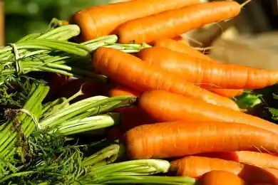 В больницах и детдомах Казахстана закупали продовольствие в пять раз выше стоимости