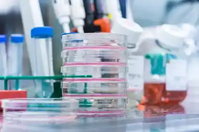 Биртанов  об отсутствии COVID-19 в Костанайской области: «Никакого феномена нет»