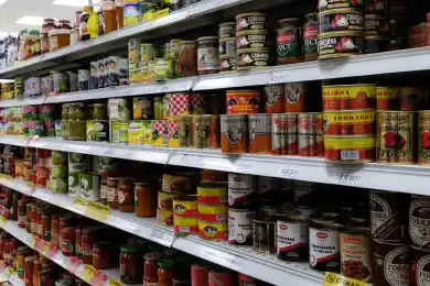 Астанчанка украла 20 банок тушёнки и продала их на улице