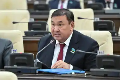 Бывший депутат Мажилиса стал ректором в Шымкенте