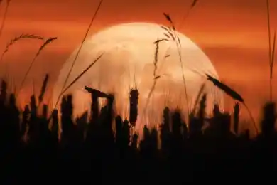 Опасно ли самое яркое суперлуние для казахстанцев? Ответ астронома