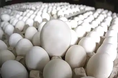 Я не оракул Дельфийский - вице-премьер Жумангарин ответил на вопрос о подорожании продовольствия