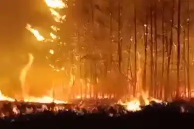 Виновен тракторист: за уничтожение 91 дома и леса в Костанайской области суд вынес приговор
