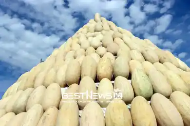 Горы арбузов и дынь до неба: что показал Таджикистан на ярмарке в Астане