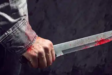 Зарезал жену и сына: дочь убийцы удивила на суде 