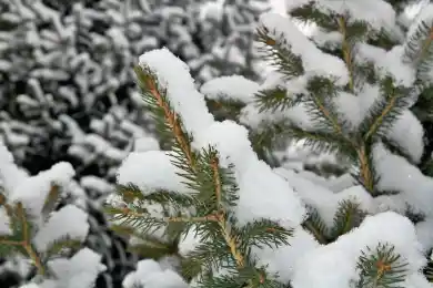 Жителей Кокшетау, Туркестана, Шымкента предупредили о шторме