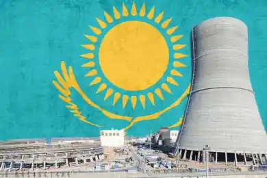 Сколько стран могут войти в консорциум строителей АЭС в Казахстане