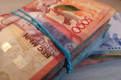 Новые миллиарды для погашения кредитов казахстанцев: ответ Минтруда