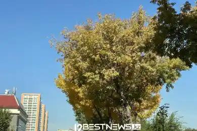 Погода по Казахстану на последний день сентября