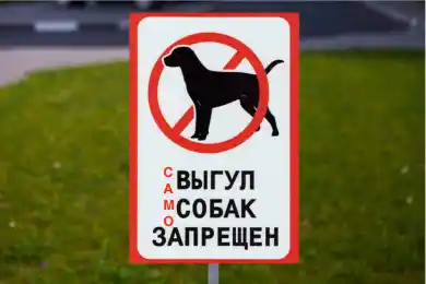 Казахстанцам запретят самовыгул собак и обяжут зарегистрировать своих животных