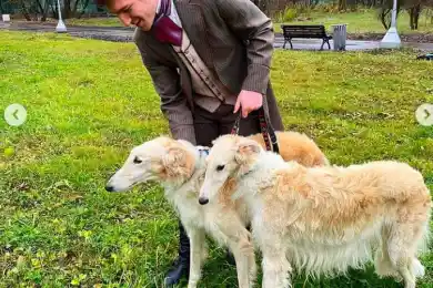 «Не тем занят»: болельщики затроллили Даррена Дица за вычурные фото