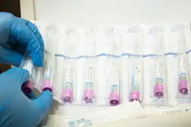 В Караганде COVID-19 выявили у студентов, 