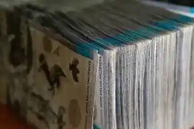 Пожертвования на лечение ребенка. Как Тотакановы потратили 1,4 млрд тенге