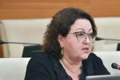 Депутаты НПК обещают судиться из-за нападок на Ирину Смирнову