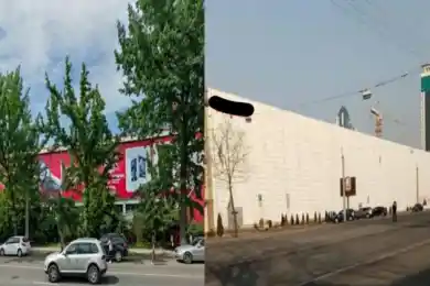 В Правительстве высказались о незаконной вырубке деревьев в Алматы