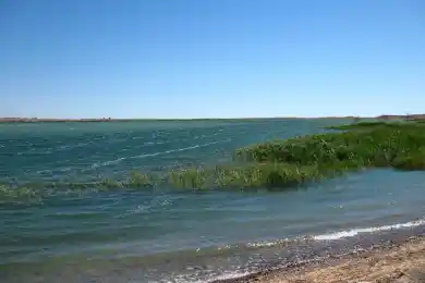 Токаев рассказал, как спасти озеро Балхаш