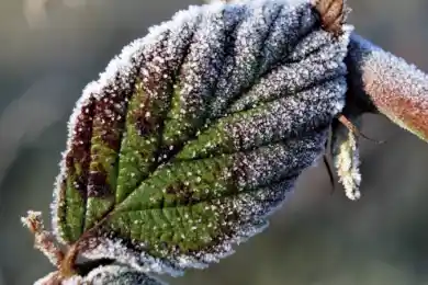 В Казахстане октябрь начнется с заморозков